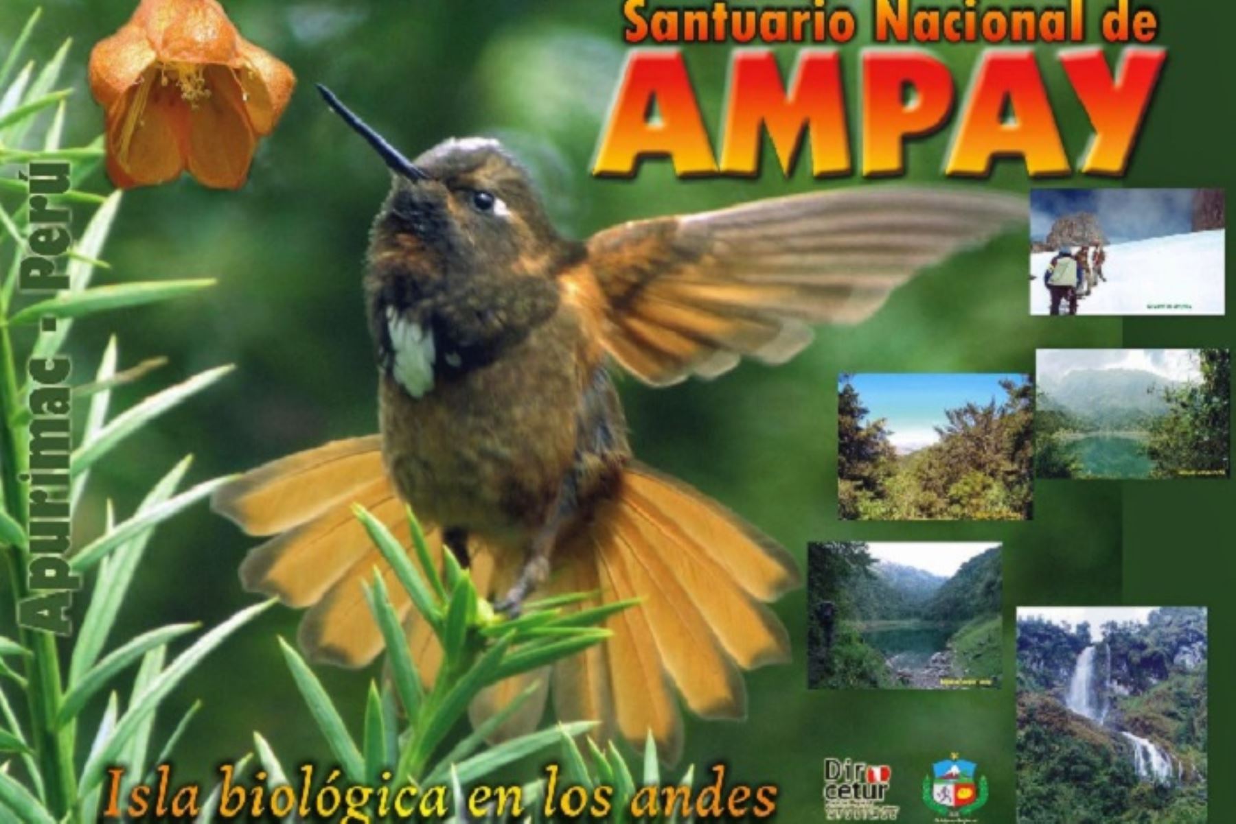 Desde el  pasado mes de julio, el destino Abancay cuenta oficialmente con el sello Safe Travels que lo acredita como bioseguro para el turismo nacional e internacional.ANDINA/Difusión
