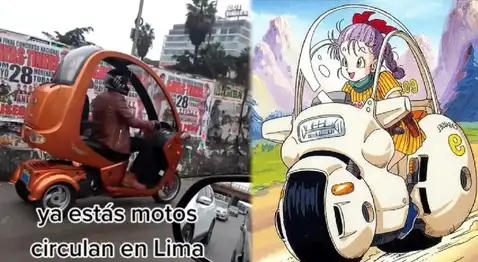 Bulma