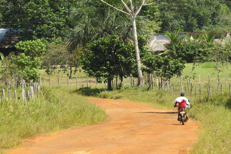 El impacto de las carreteras que recortan la Amazonía en Perú y Brasil |  RPP Noticias