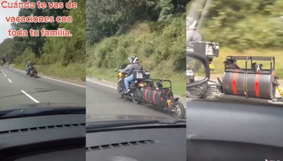 Los perritos se veían muy tranquilos mientras miraban el paisaje que los rodeada. (Foto: Composición)