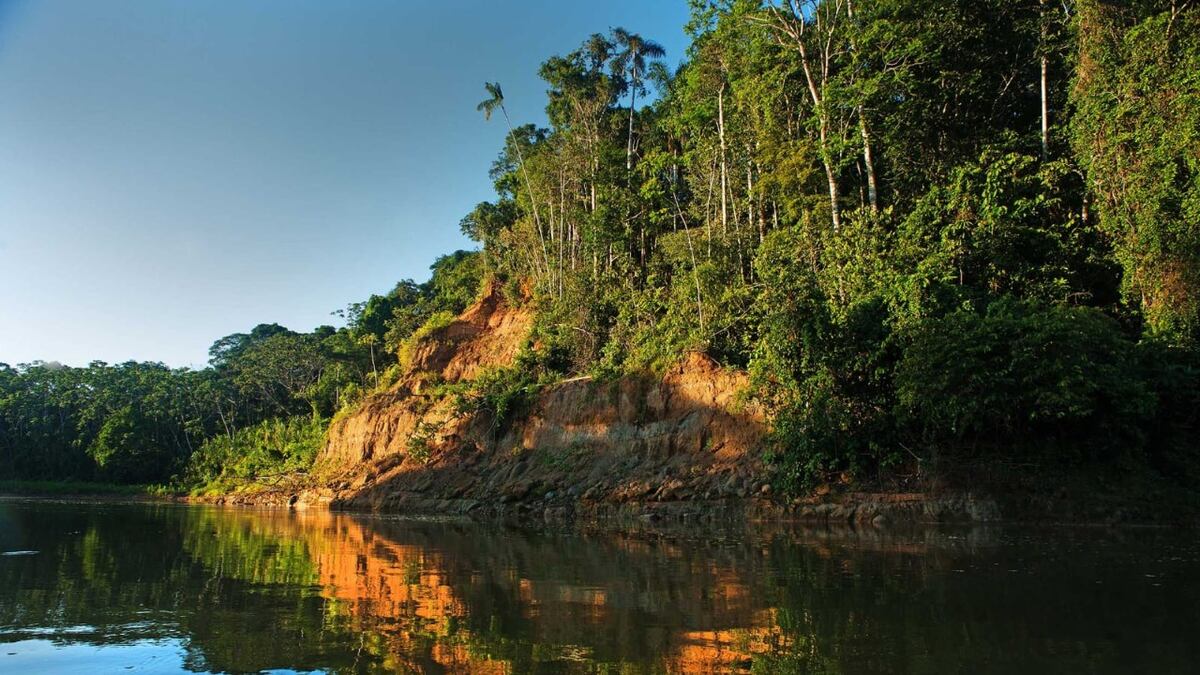 HDRYMNDDUFCGHKOGMGYC44-X4-U4
