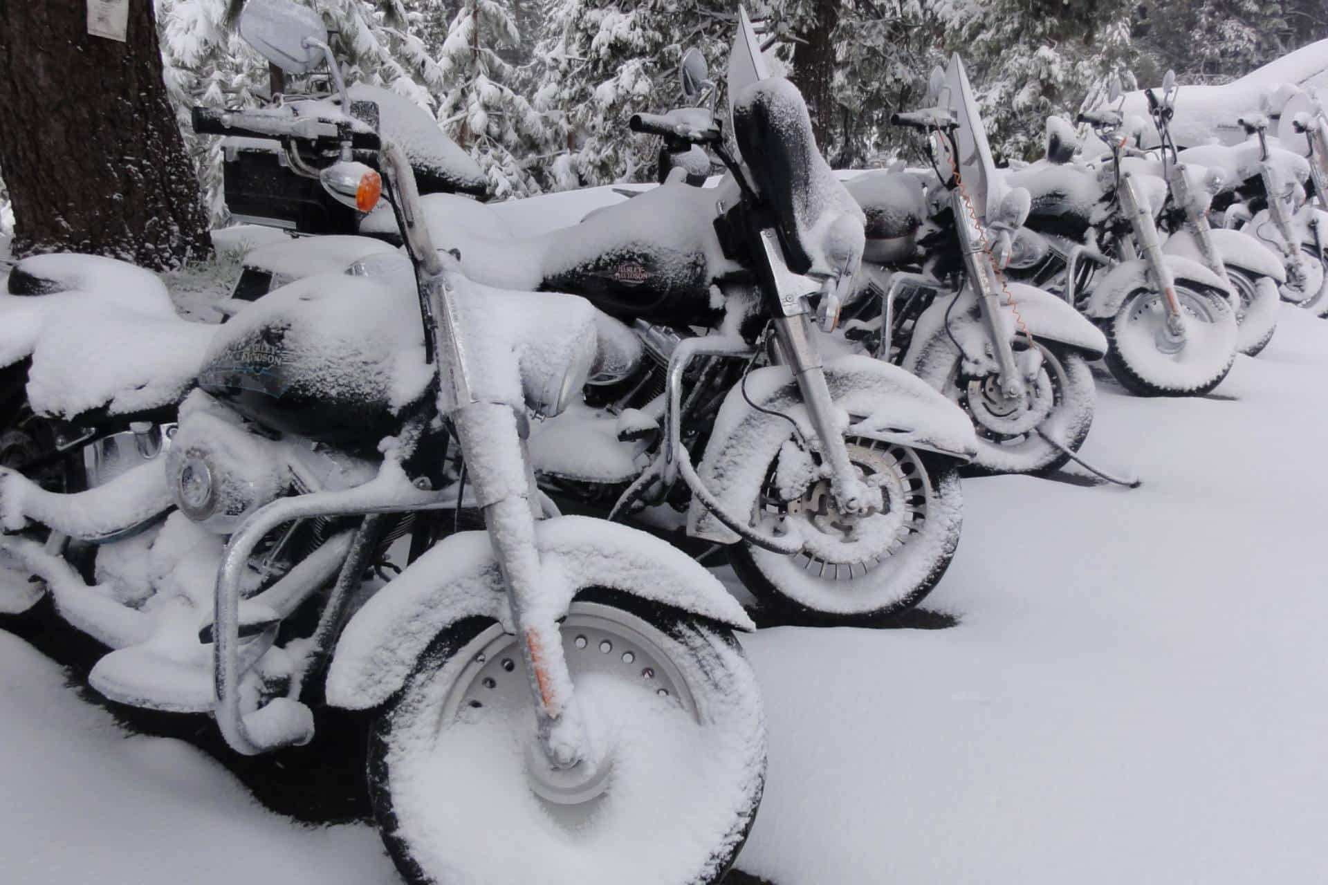 Motos con el frío