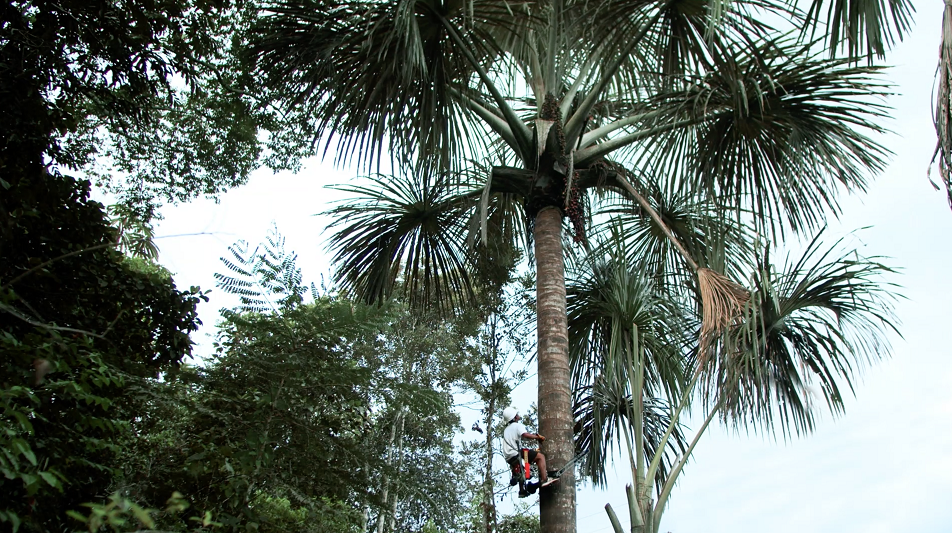VERTICAL-2