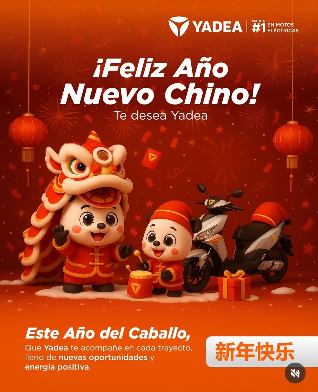 Whats App Image 2026 02 17 at 10 04 45 PM (1)