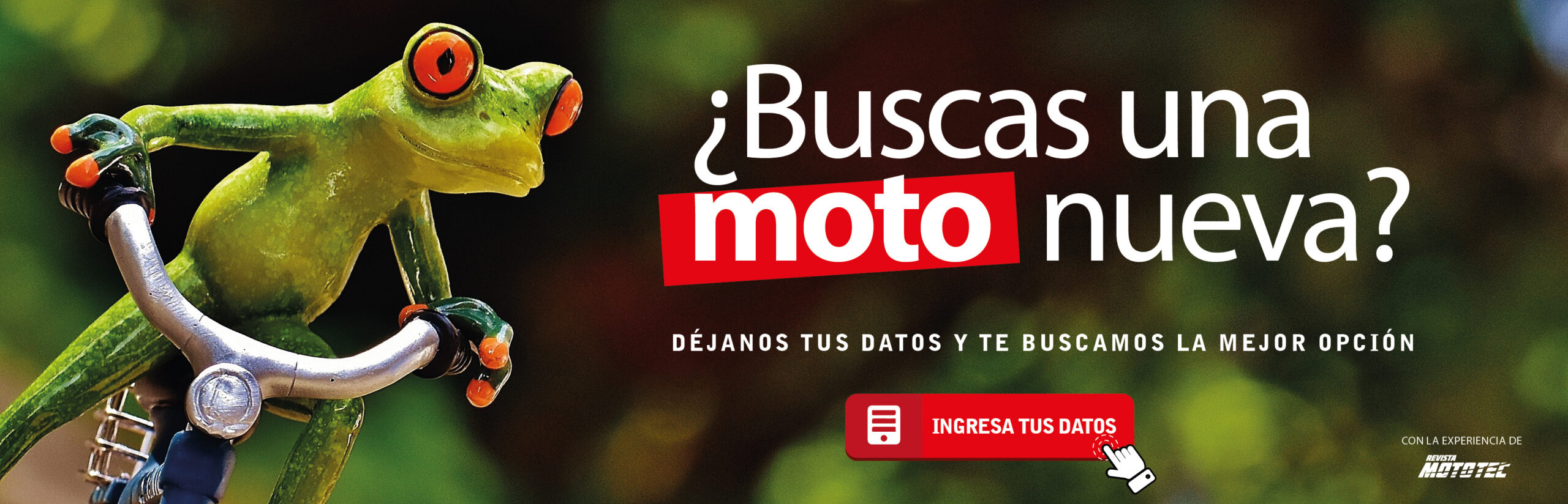 disen-os-proyecto-1-Mesa-de-trabajo-1
