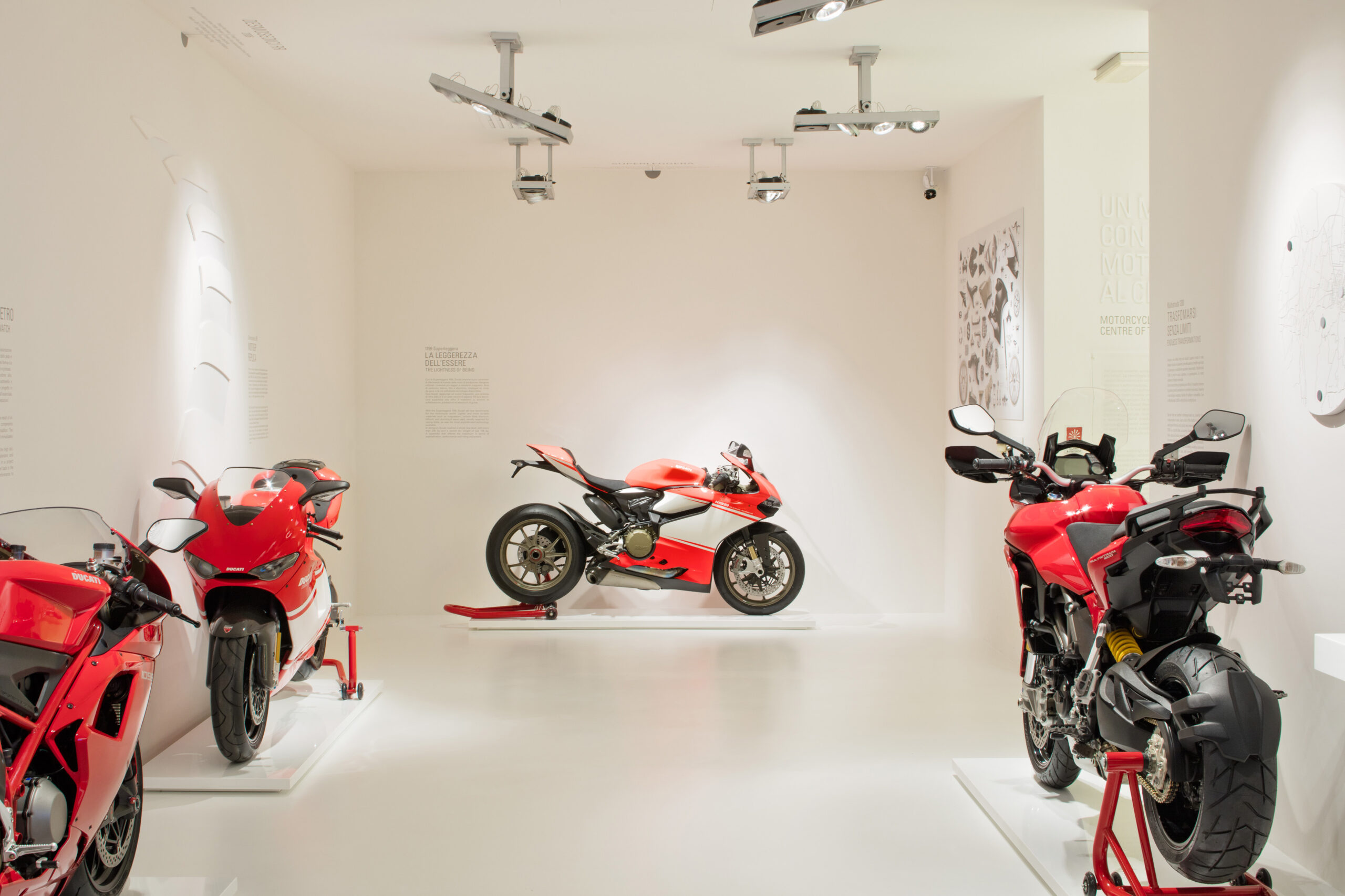 ducatis