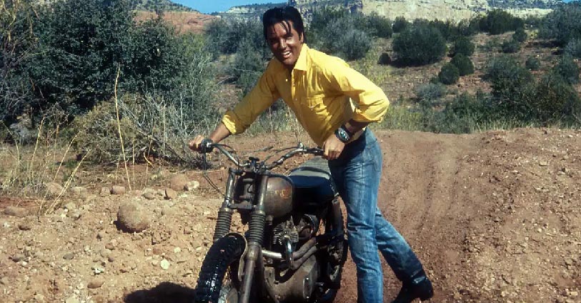 elvis-triumph-01