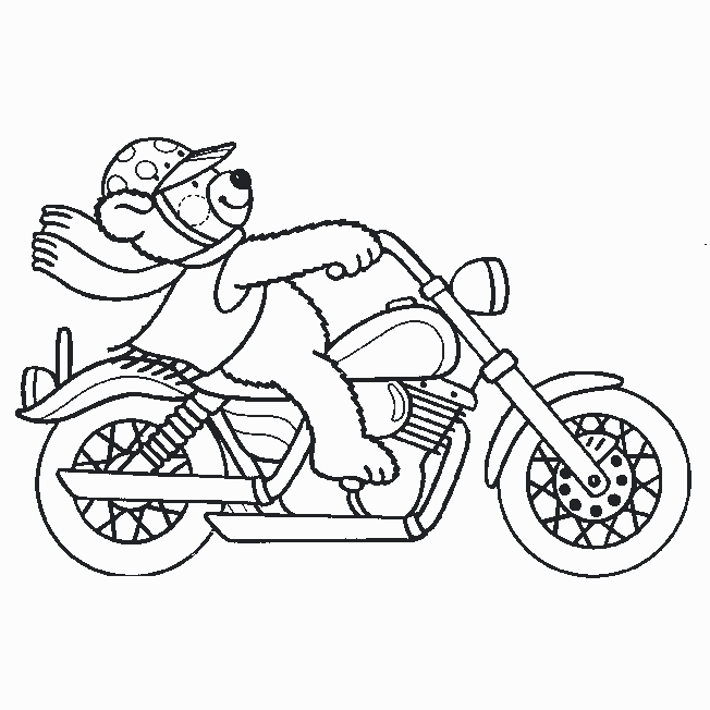 moto17