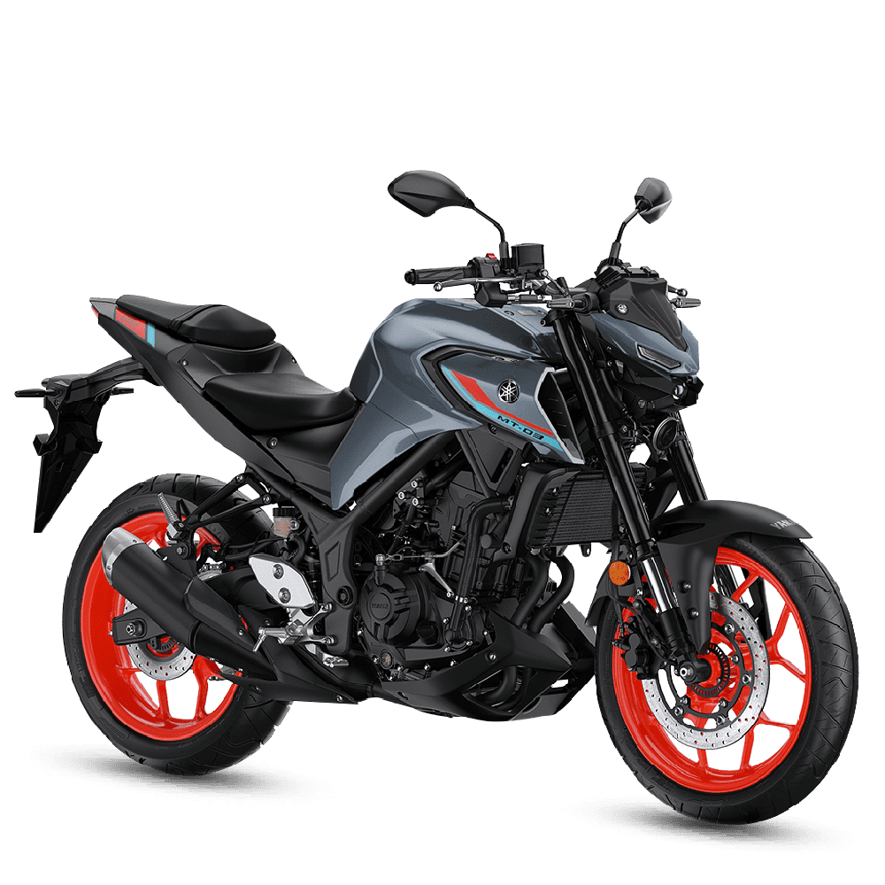 mt-03