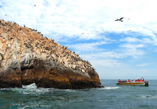 paracas
