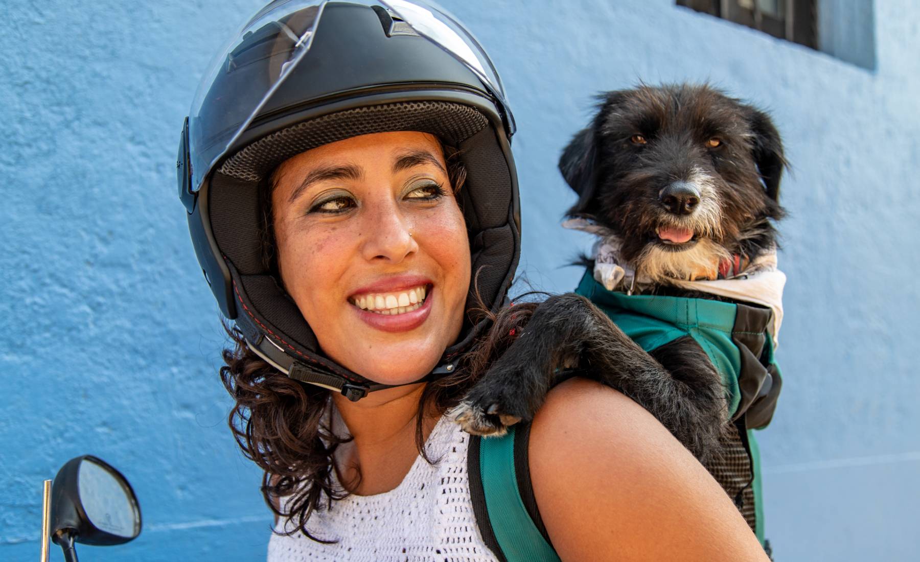 Llevar un perro en moto: legislación, sistemas y precios