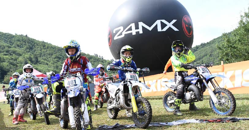 pillado-web-Mesa-de-trabajo-1-copia-11