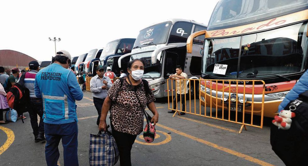 viaje-buses