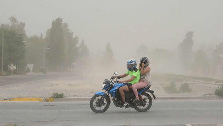 El viento produjo cortes de luz y caída de árboles